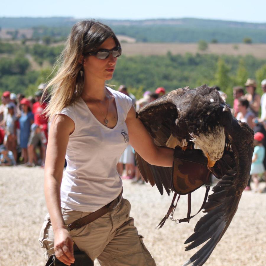 فيلا Excellent Sarlat المظهر الخارجي الصورة